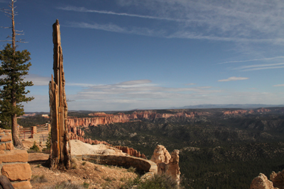 Explore Roadside Nature- Bryce Canyon NP Rainbow Point
